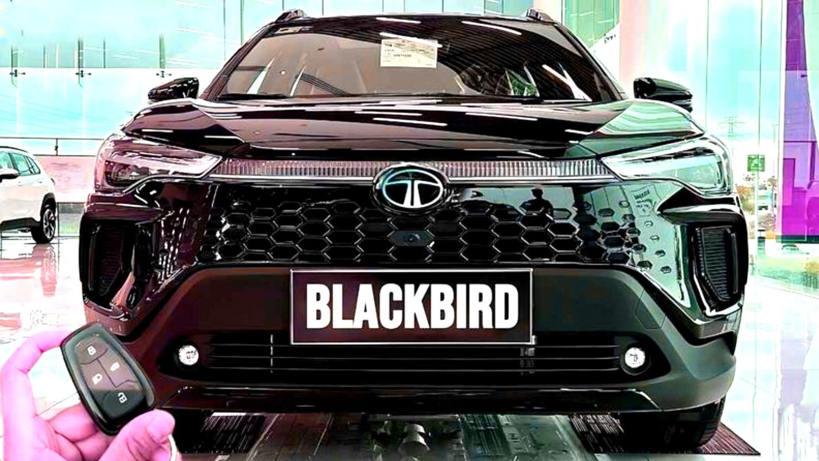 Tata Blackbird